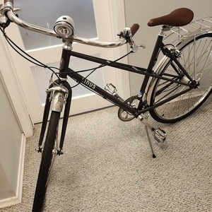 2022 Linus Mixte Silver, gray or bare metal