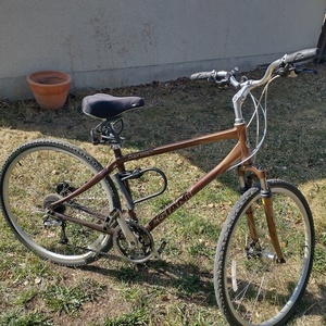 Giant cypress lx hybrid bike hotsell