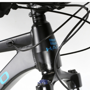 2023 Haro Black and Blue