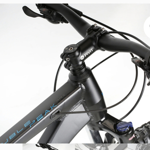 2023 Haro Black and Blue