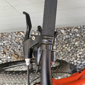 2019 Trek Roscoe Orange