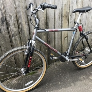 1996 Specialized Ground Control Silver, gray or bare metal