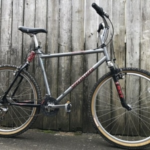 1996 Specialized Ground Control Silver, gray or bare metal