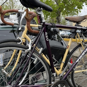 Miyata 710 Yellow or Gold