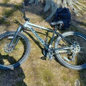 2017 Schwinn Al Comp Silver, gray or bare metal