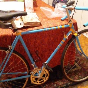 Trek Blue and Yellow or Gold