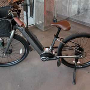 2022 Cannondale NEO 4 Silver, gray or bare metal