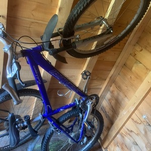 Specialized Rockhopper Blue