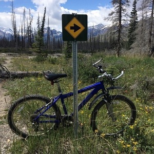 Specialized Rockhopper Blue