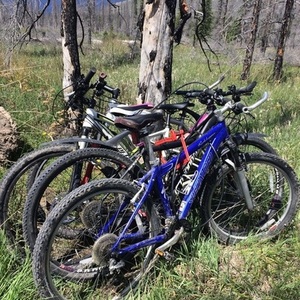 Specialized Rockhopper Blue