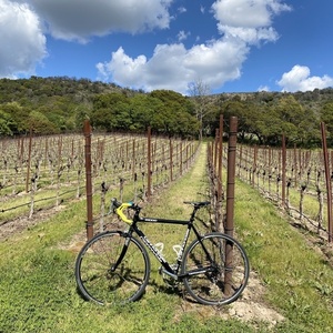 Cannondale R1000 Black