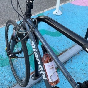 Bianchi Verona Silver, gray or bare metal