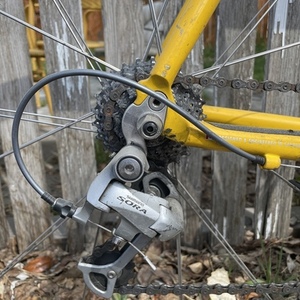 Argon 18 Xenon-T2 2000 Yellow or Gold