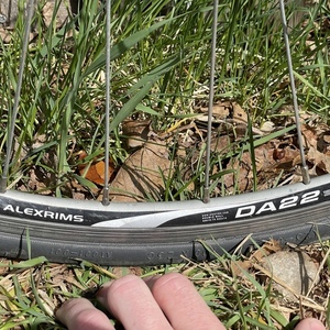 Argon 18 Xenon-T2 2000 Yellow or Gold