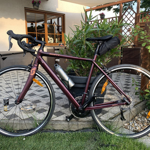 2021 SCOTT Diamant, roadrun Purple