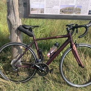 2021 SCOTT Diamant, roadrun Purple