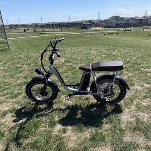2022 Rad Power Bikes personal mobility device (electric unicycle, etc) Silver, gray or bare metal