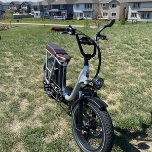 2022 Rad Power Bikes personal mobility device (electric unicycle, etc) Silver, gray or bare metal