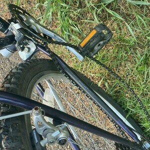 Unknown MTB Purple