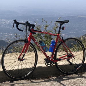 2018 Trek Domane AL 2 Red