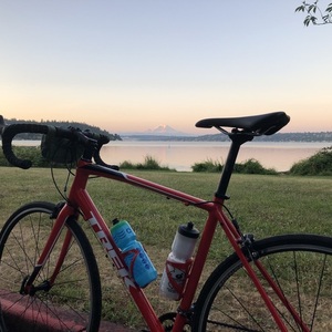2018 Trek Domane AL 2 Red