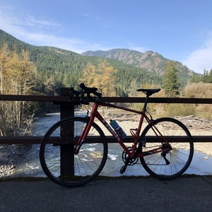 2018 Trek Domane AL 2 Red