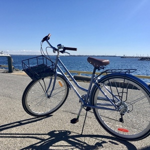 2017 Eveready Trinity series Blue