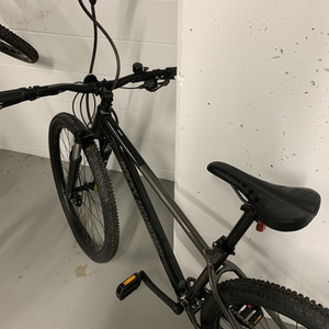 Rocky Mountain Bicycles Silver, gray or bare metal