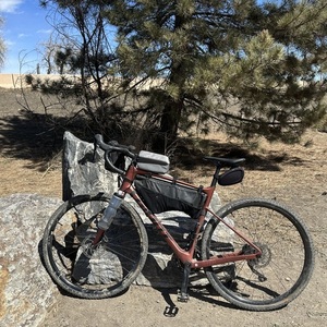 2022 Giant Revolt advanced 3 Orange