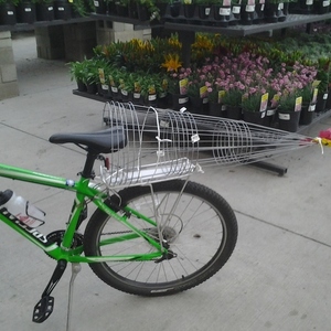 2013 Specialized Green