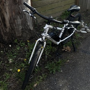 2022 Rad Power Bikes Rad Mission