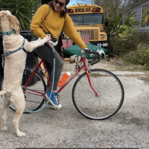 1976 Peugeot Red, Yellow or Gold, and Orange