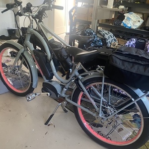 2021 Trek Step Thru US Silver, gray or bare metal