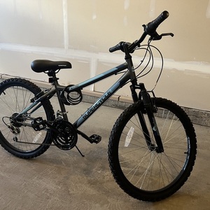 2023 Supercycle Silver, gray or bare metal