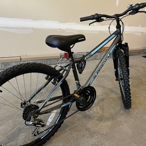 2023 Supercycle Silver, gray or bare metal