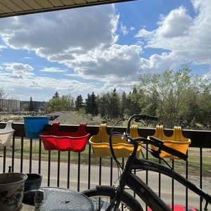 2023 Hyper 26 inch 36 v battery Black