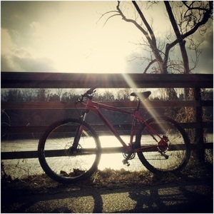 2013 Specialized Rockhopper 29 Red