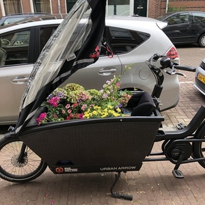 2020 Urban Arrow Family Cargo Black