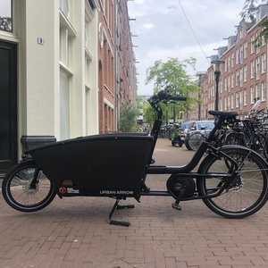 2020 Urban Arrow Family Cargo Active Plus Black