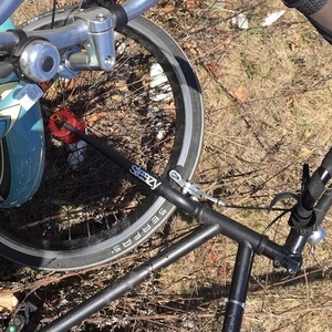 SE Bikes Lager Black