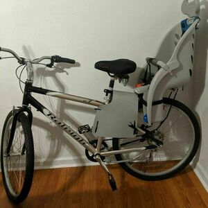 Raleigh SC Z Silver, gray or bare metal and Black