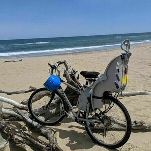 Raleigh SC Z Silver, gray or bare metal and Black