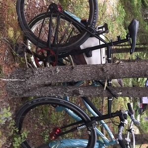 SE Bikes Lager Black