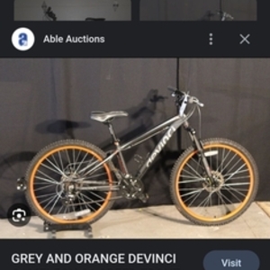 Devinci Cameleon Black and Orange