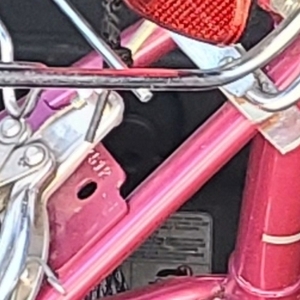 Sportster Trail Runner Pink