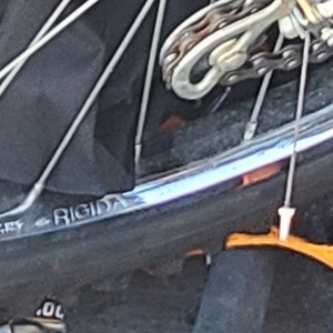 Sportster Trail Runner Pink