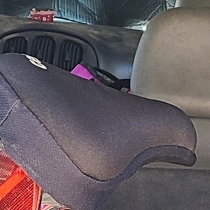 Sportster Trail Runner Pink