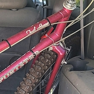 Sportster Trail Runner Pink