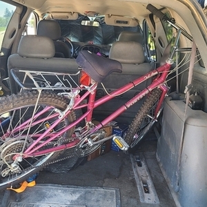 Sportster Trail Runner Pink