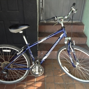 2006 Schwinn Sport voyageur
